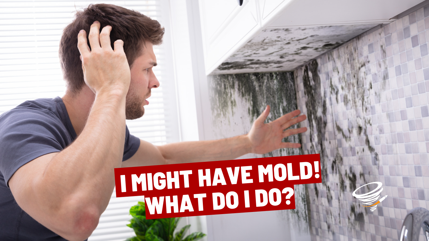 I might have Mold! What do I do?